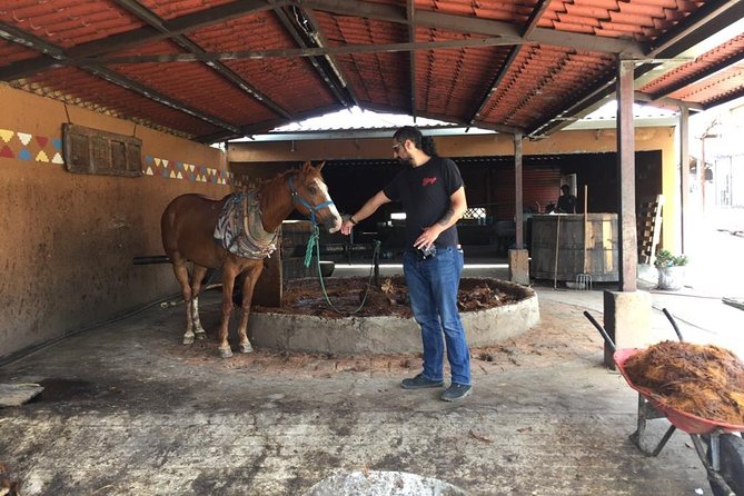 Gastronomy Experience, Culture Mezcal,Tasting & Textiles. Private Tour. - San Jerónimo Tlacochahuaya: where convent art mixes stories