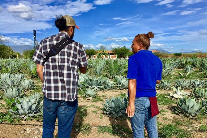Gastronomy Experience, Culture Mezcal,Tasting & Textiles. Private Tour. - Why the private format feels different (and less stressful)