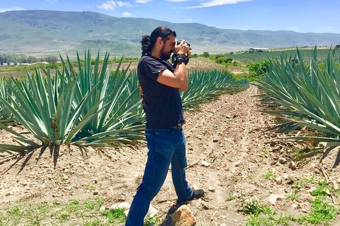 Gastronomy Experience, Culture Mezcal,Tasting & Textiles. Private Tour. - Teotitlán del Valle: master weaving, wool rugs, and the logic of natural color