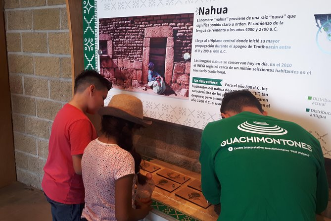 Guachimontones and Tequila Tour - Tequila: free time that’s built for real eating (not rushed dining)