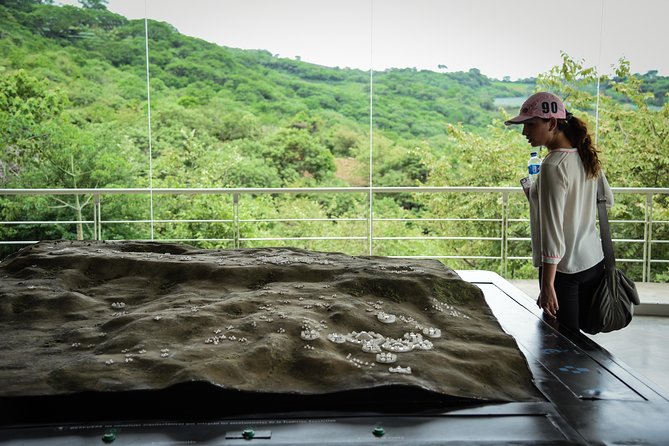 Guachimontones and Tequila Tour - Who should book this tour (and who should rethink it)