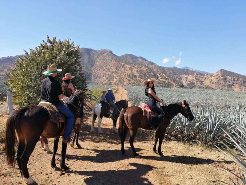 Guadalajara: Horse Riding on the Tequila Route with Tastings - Key highlights at a glance
