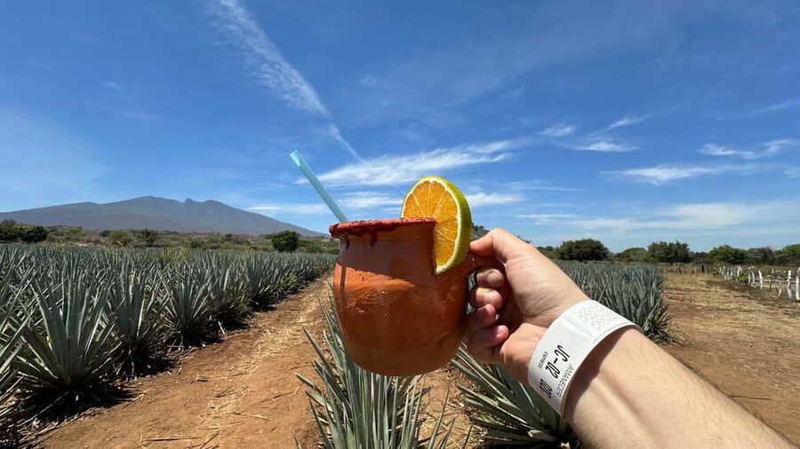 Guadalajara: Tequila Day Trip with Jose Cuervo Option - Key Things I’d Focus On Before You Go