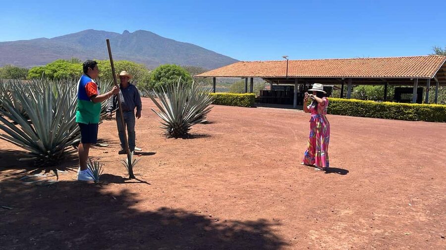 Guadalajara: Tequila Day Trip with Jose Cuervo Option - Guadalajara to Tequila: Pickup, the Agave Drive, and Why It Matters
