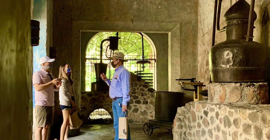 Guadalajara: Tequila Day Trip with Jose Cuervo Option - Guides, Group Comfort, and How the Day Feels in Motion