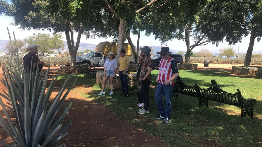 Guadalajara: Tequila Day Trip with Jose Cuervo Option - Practical Reality Checks: Who This Tour Fits Best (and Who Should Skip It)