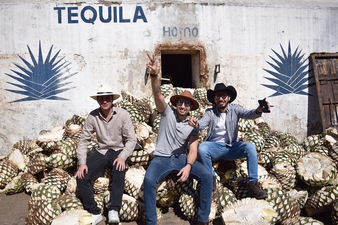Guided Full Day Tour to Tequila and Cantaritos el Guero - Tequila + cantaritos in one day: the basic idea