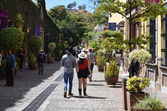 Guided Full Day Tour to Tequila and Cantaritos el Guero - Pickup in Guadalajara: comfort and control