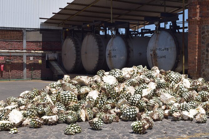 Guided Full Day Tour to Tequila and Cantaritos el Guero - Price and what you’re paying for