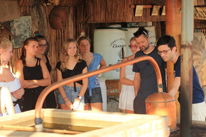 Guided tour of an ancestral Mezcal distillery with transport - Pickup, Timing, and How the 2.5-Hour Plan Fits Your Day