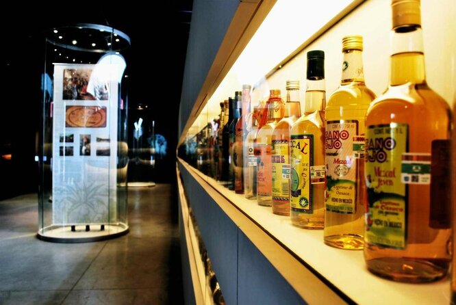 Guided Tour to the Tequila and Mezcal Museum - Key highlights you shouldn’t skip