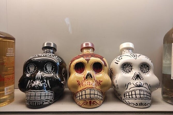Guided Tour to the Tequila and Mezcal Museum - Logistics that actually matter on a tour like this