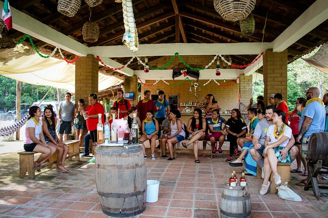 Half-Day Vallarta ATV Single Experience with Tequila Tasting - The Jungle Ride Up: Real ATV Time and Real Scenery