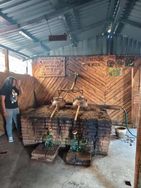Hierve el Agua, Mitla, Tule, Teotilán and Mezcal factory - Price and logistics: what $80 gets you (and where it can fall short)