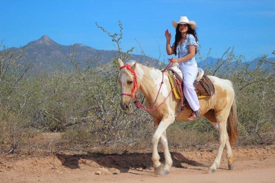 Horseback Riding Adventure in Playa Migriño with Tequila Tasting - Horses, safety gear, and the first-ride confidence factor