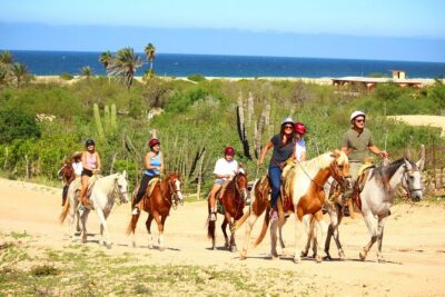 Horseback Riding Adventure in Playa Migriño with Tequila Tasting - How the 3-hour rhythm works (and why it matters)