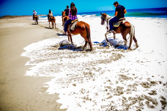 Horseback Riding Adventure in Playa Migriño with Tequila Tasting - Tequila tasting: what’s included and how to make it enjoyable