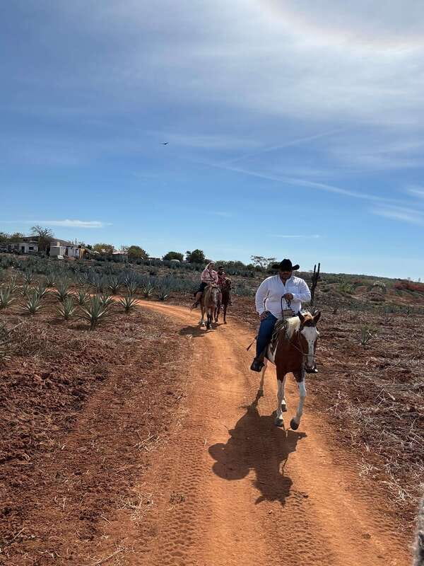 Horseback riding and Temazcal combo with lunch and mezcal - A quiet beach horseback ride through agave country