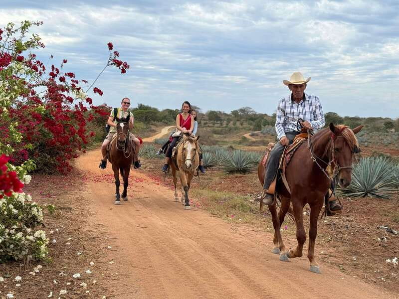 Horseback riding and Temazcal combo with lunch and mezcal - Who this combo suits best