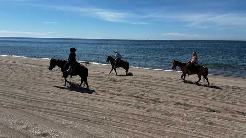 Horseback riding and Temazcal combo with lunch and mezcal - Should you book this tour?