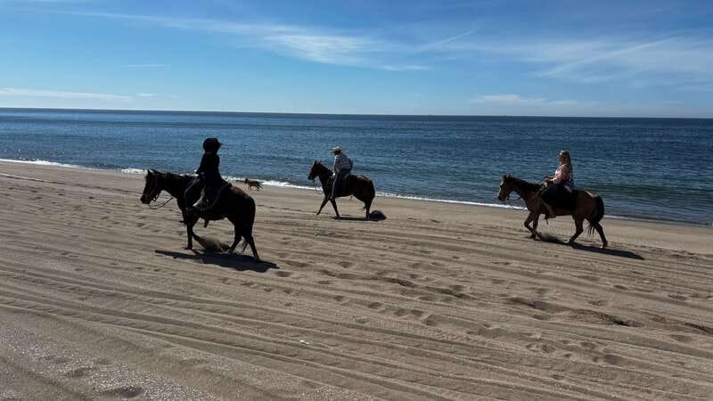 Horseback riding and Temazcal combo with lunch and mezcal - The temazcal and mud bath: a prehispanic-style reset