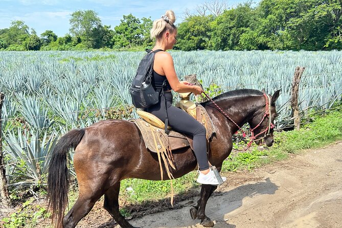 Horseback Riding & Swim: Tequila Tasting, BBQ & Margaritas - Group size, timing, and who this tour fits best
