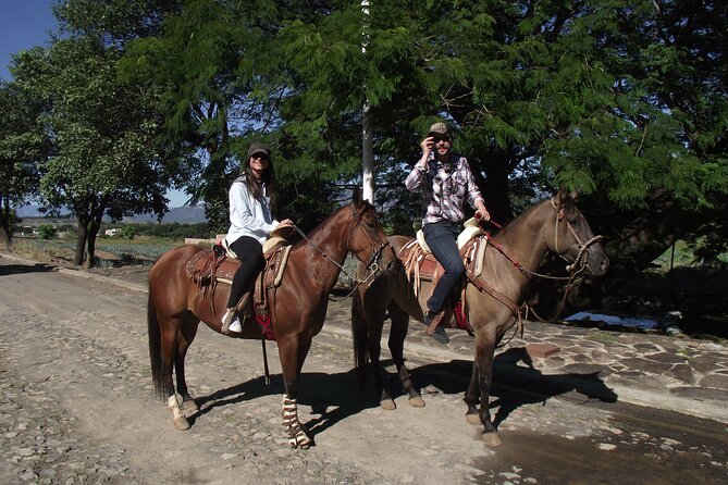 Horseback Riding Tour in The Agave Field with Lunch - From Guadalajara: why this 9:00 a.m. start makes sense