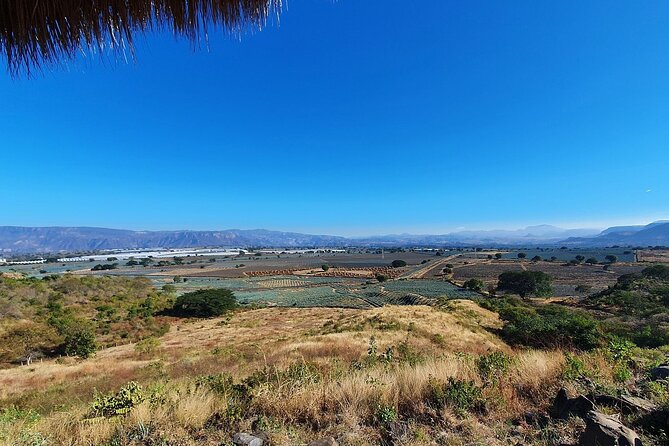 Horseback Riding Tour in The Agave Field with Lunch - Tequila tasting, drinks, and how to plan your expectations