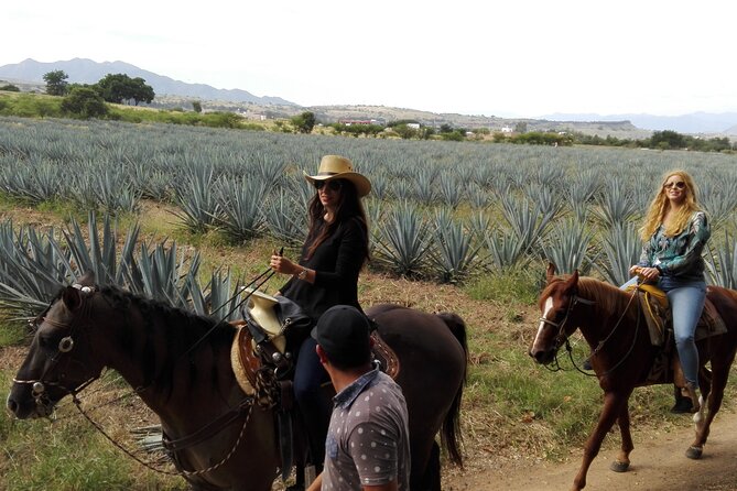 Horseback Riding Tour in The Agave Field with Lunch - The guide makes or breaks it: Delfino-style organization
