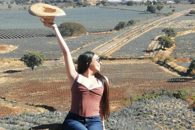 Horseback Riding Tour in The Agave Field with Lunch - Who should book this horseback agave and tequila tour