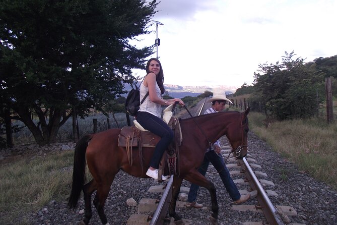Horseback Riding Tour in The Agave Field with Lunch - Cofradía Tequila Factory: seeing how artisan tequila happens