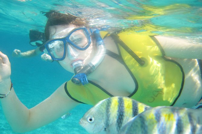 Island Flavors, Tequila & Beach Time - A flavor-first Cozumel outing with Mayan village stops