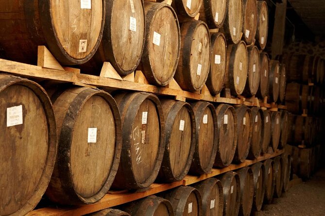 José Cuervo Tequila Day Experience from Guadalajara - Key highlights worth knowing