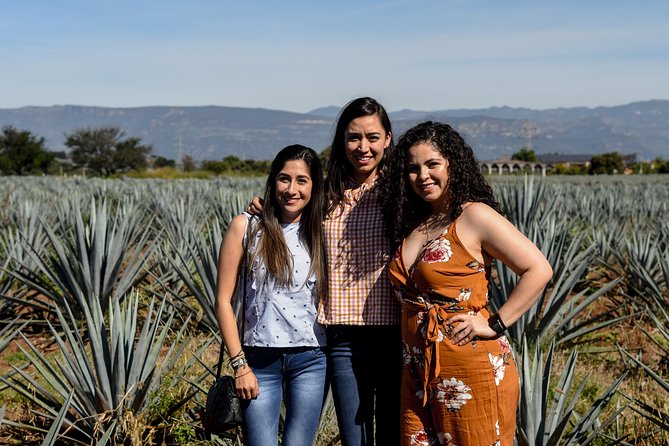 José Cuervo Tequila Day Experience from Guadalajara - Don Elias Tequila Distillery: where the agave-to-bottle story gets real