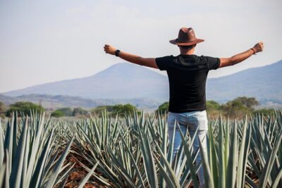 José Cuervo Tequila Day Experience from Guadalajara - Pickup, timing, and the real-world logistics