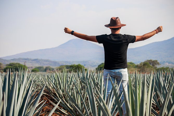 José Cuervo Tequila Day Experience from Guadalajara - Pickup, timing, and the real-world logistics