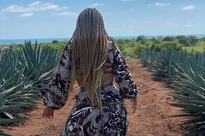 Jungle and beach ATV tour + lunch + tequila tasting - Tequila tasting plus a real production explanation