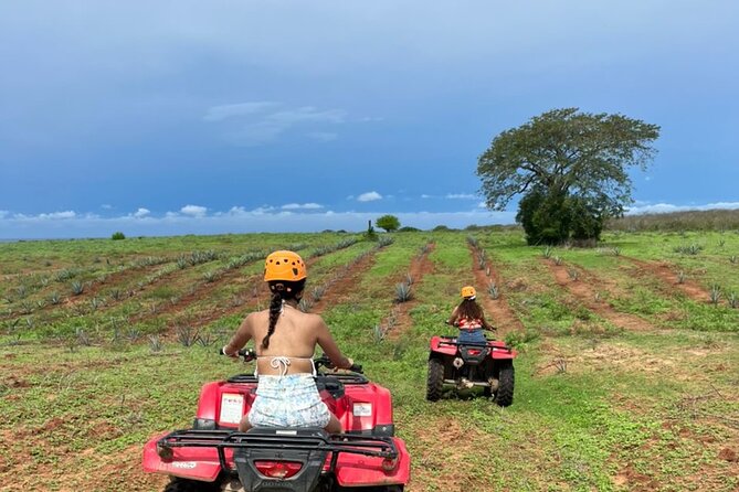 Jungle and beach ATV tour + lunch + tequila tasting - Safety, dust, bathrooms, and the little things that matter