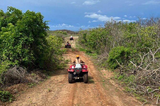 Jungle and beach ATV tour + lunch + tequila tasting - ATV time on a working agave ranch (not just a simple trail)