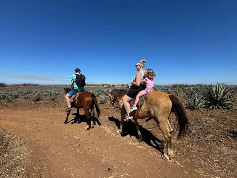 Jungle and beach horseback ride + lunch + mezcal - Quick Hits
