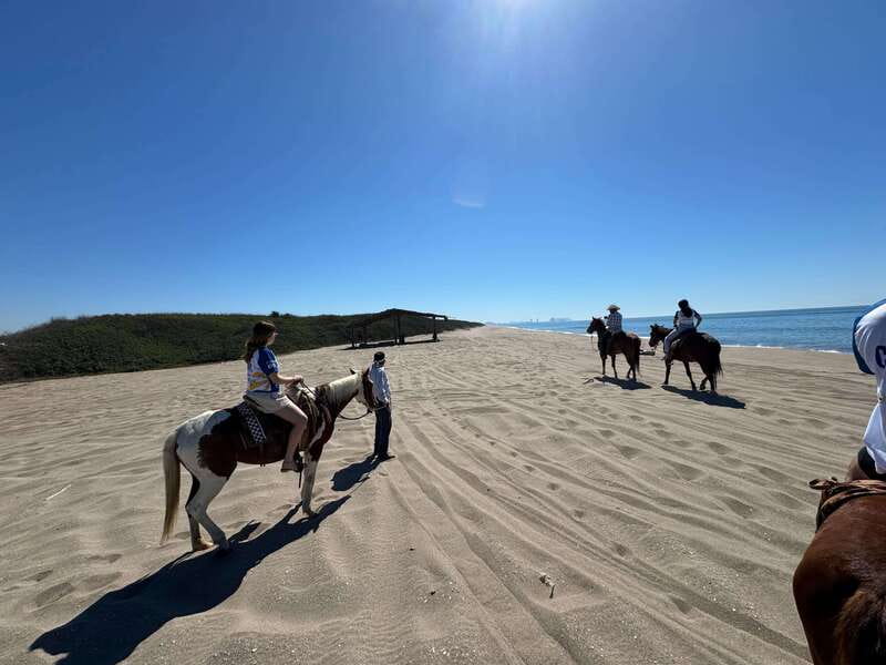 Jungle and beach horseback ride + lunch + mezcal - Mezcal Tour and Tastings at the Ranch Factory