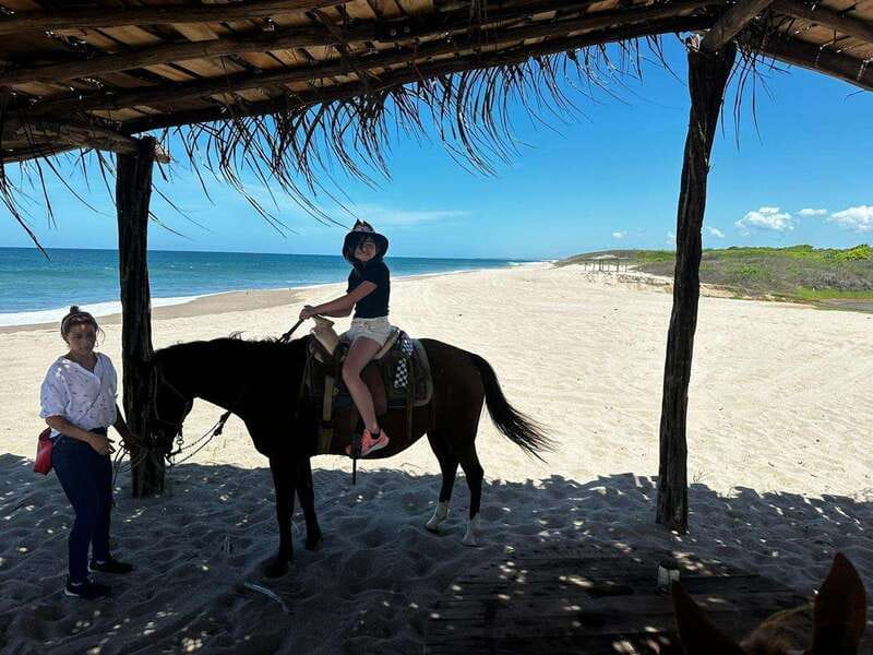 Jungle and beach horseback ride + lunch + mezcal - Mazatlán Pickup, Cruise-Port Ease, and Round Transportation