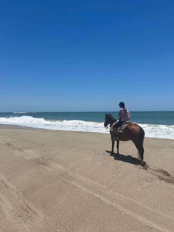 Jungle and beach horseback ride + lunch + mezcal - Price and Value: What You’re Really Getting for $105