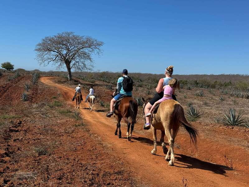 Jungle and beach horseback ride + lunch + mezcal - Who Should Book This Horse + Mezcal Tour
