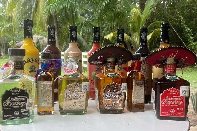 Jungle & Sacred Cenote Quad Adventure - Price check: what $66.67 covers (and what can add up)