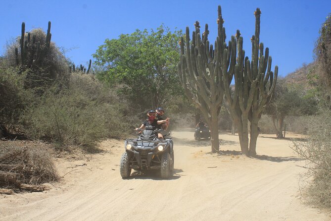 Los Cabos Beach & Desert Tour in Automatic ATV + Tequila Tasting - Timing: why your 2-hour plan might feel like half a day