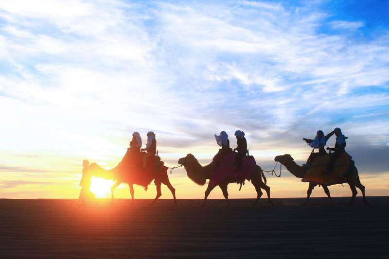 Los Cabos: Camel Ride Safari with Lunch and Tequila Tasting - Lunch Break with Mexican Flavors and Flavored Water
