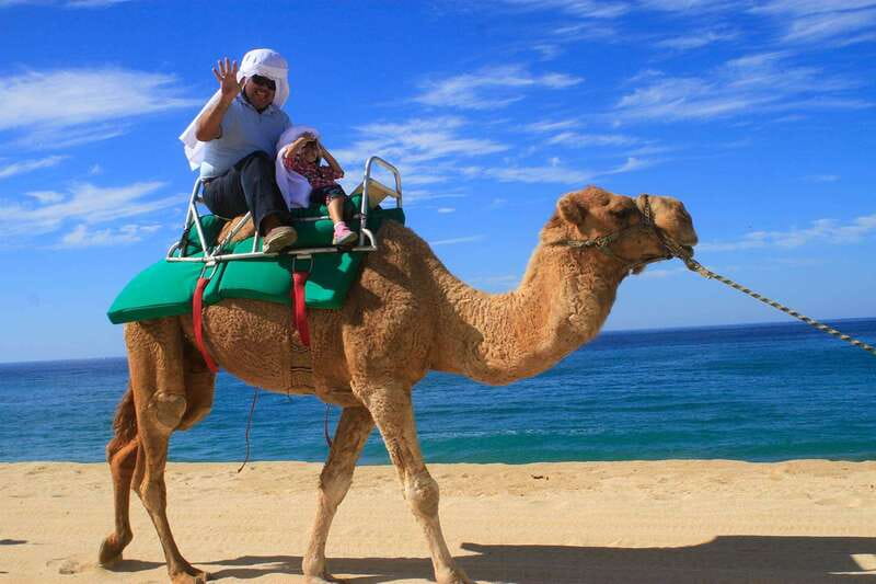 Los Cabos: Camel Ride Safari with Lunch and Tequila Tasting - Who This Fits Best (and Who Should Skip It)