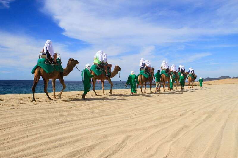 Los Cabos: Camel Ride Safari with Lunch and Tequila Tasting - What to Bring (and What to Leave at Home)