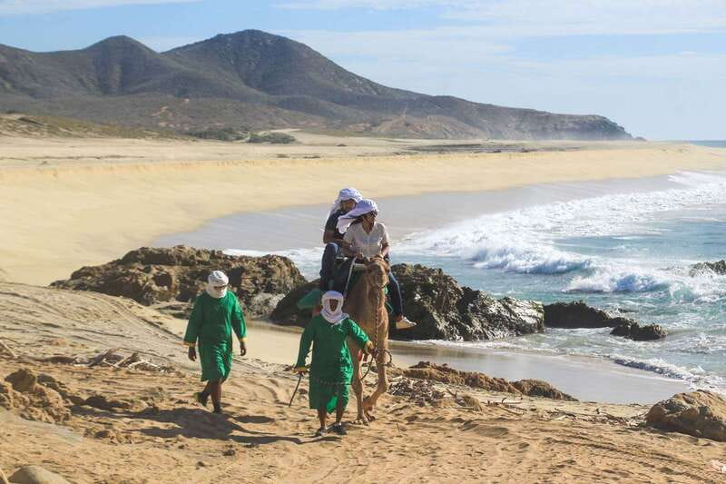 Los Cabos: Camel Ride Safari with Lunch and Tequila Tasting - FAQ
